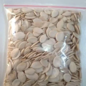 Egusi
