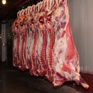 Buffalo Boneless Meat