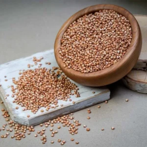 Sorghum