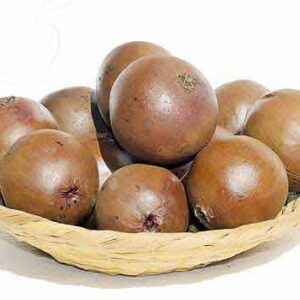 Borojo fruits