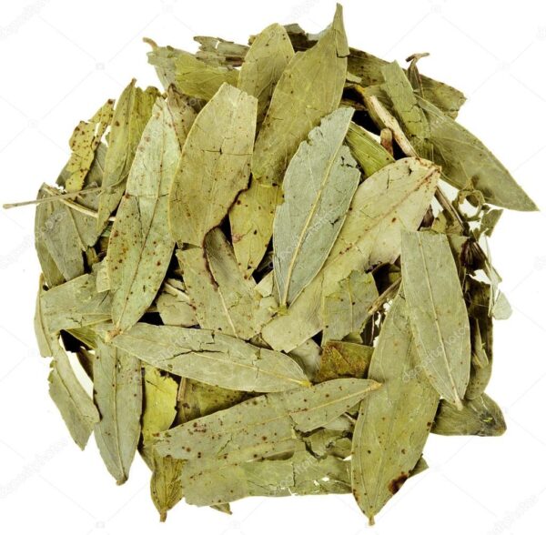 Curry Leaves