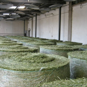 Rhodes hay